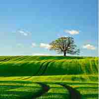 php开‍发‍教‍程‌