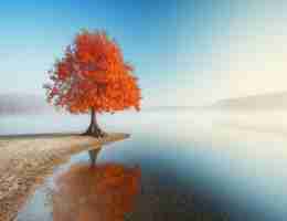 c语﻿言‌用​什​么‌软﻿件‌编﻿程﻿比‍较﻿好﻿